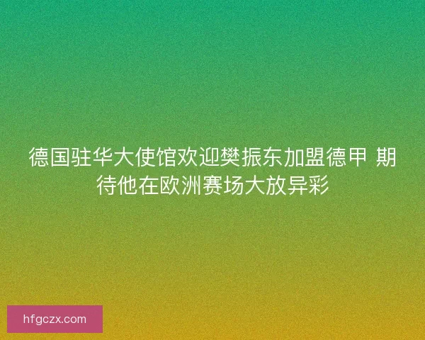 德国驻华大使馆欢迎樊振东加盟德甲 期待他在欧洲赛场大放异彩